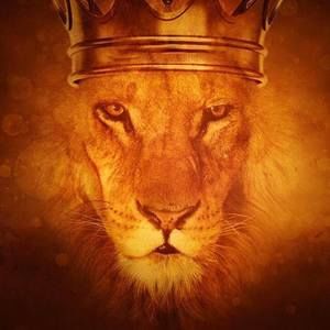 Meet your Posher, Dwayne